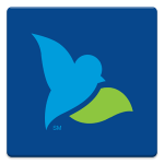 Logo Bluebird by American Express