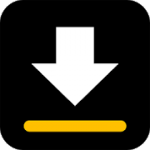 Logo Video Downloader