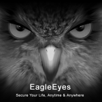 Logo EagleEyes