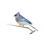 Logo BirdNET
