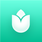 Logo PlantIn: Plant Identification