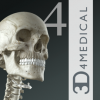 Logo Essential Skeleton 4
