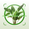 Logo PlantApp 